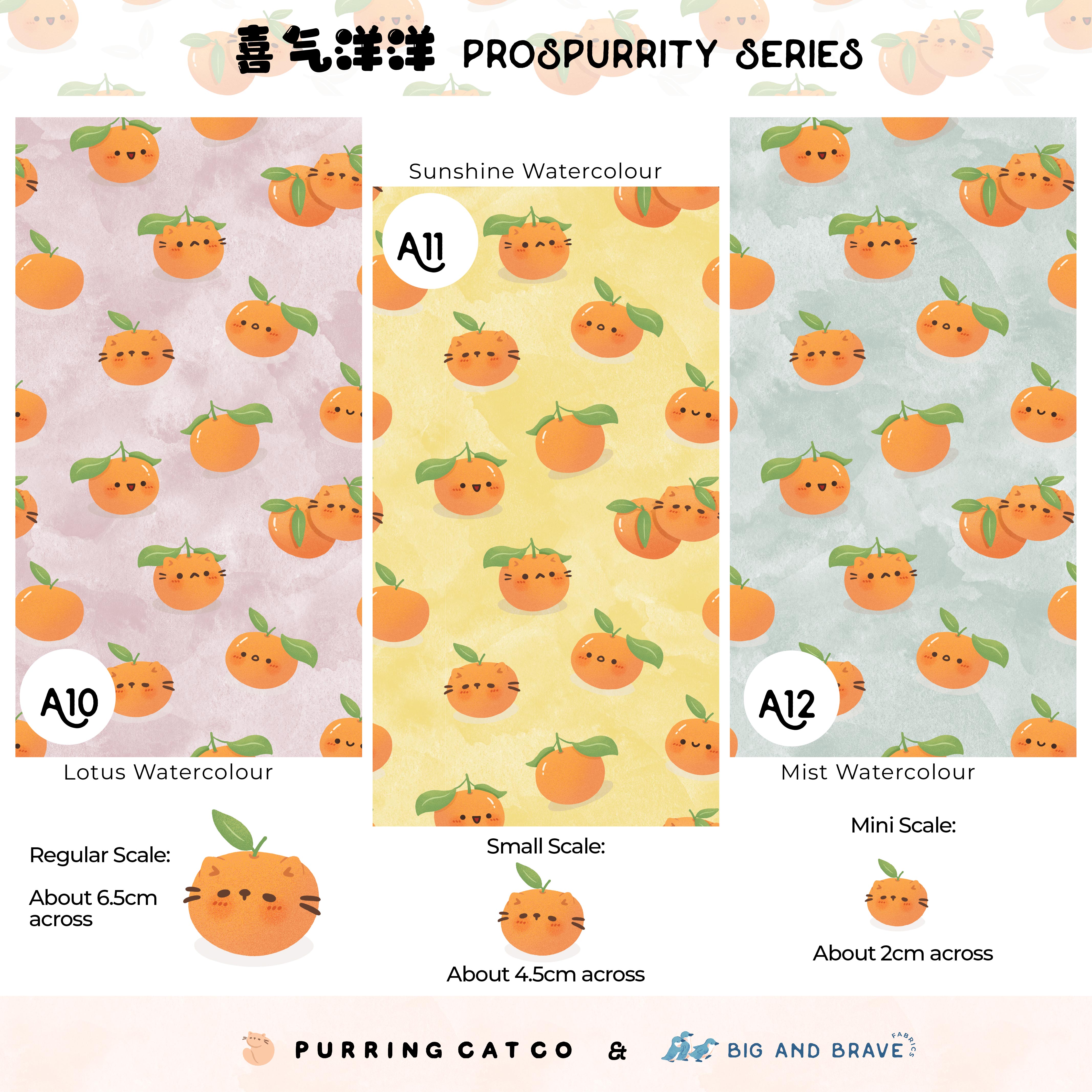 2025 Prospurrity Series, Solids