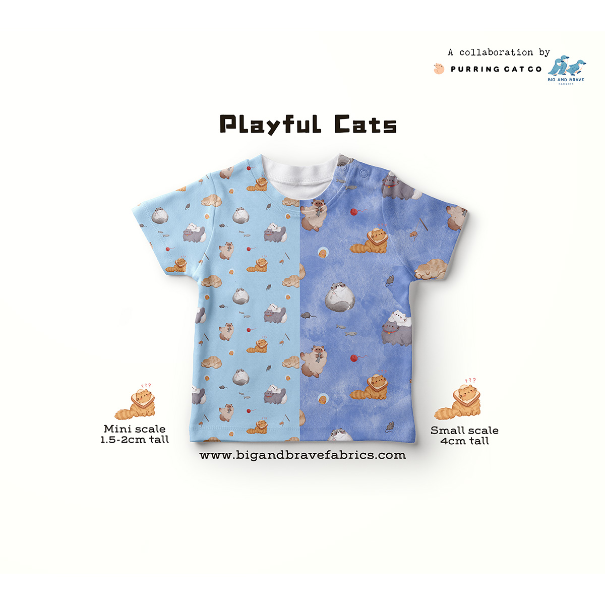Playful Cats, Assorted Colours