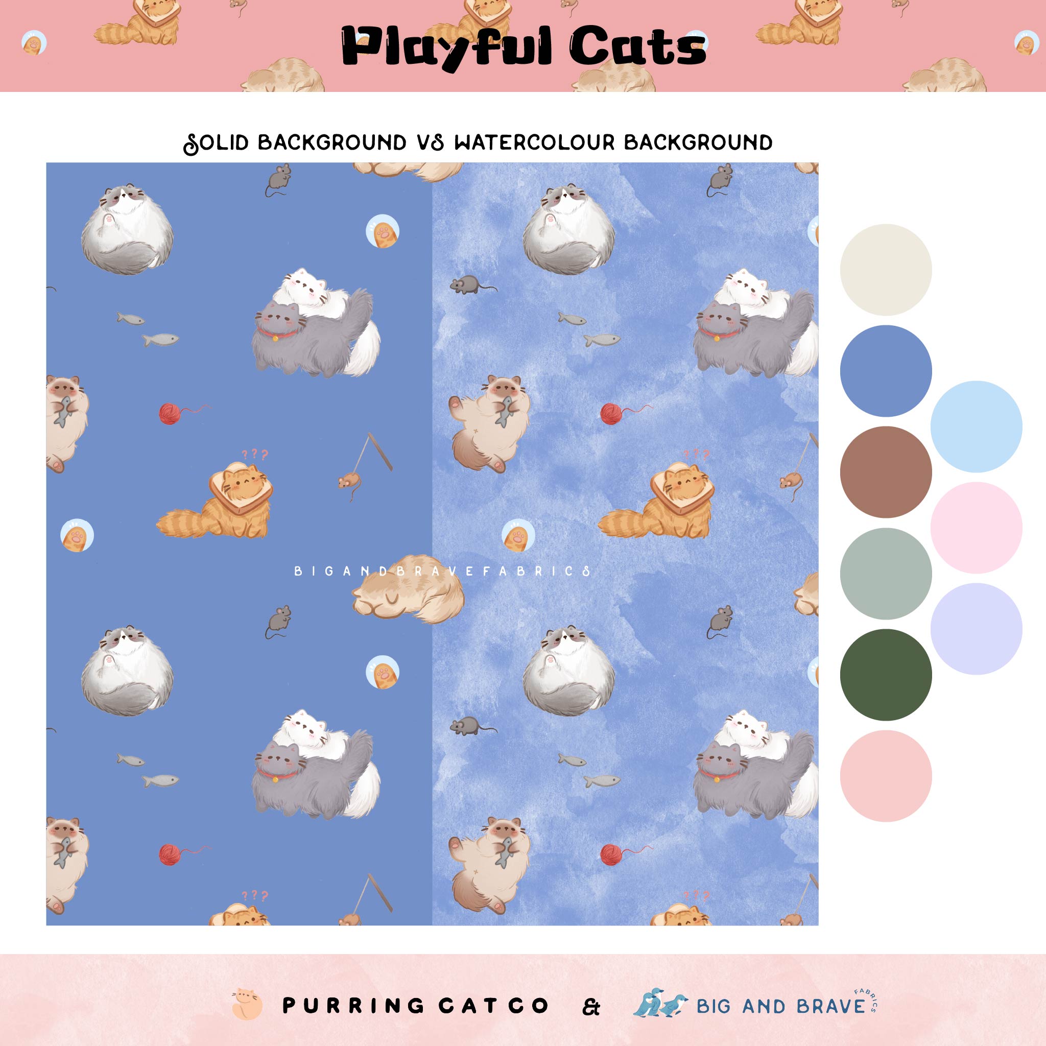 Playful Cats, Assorted Colours