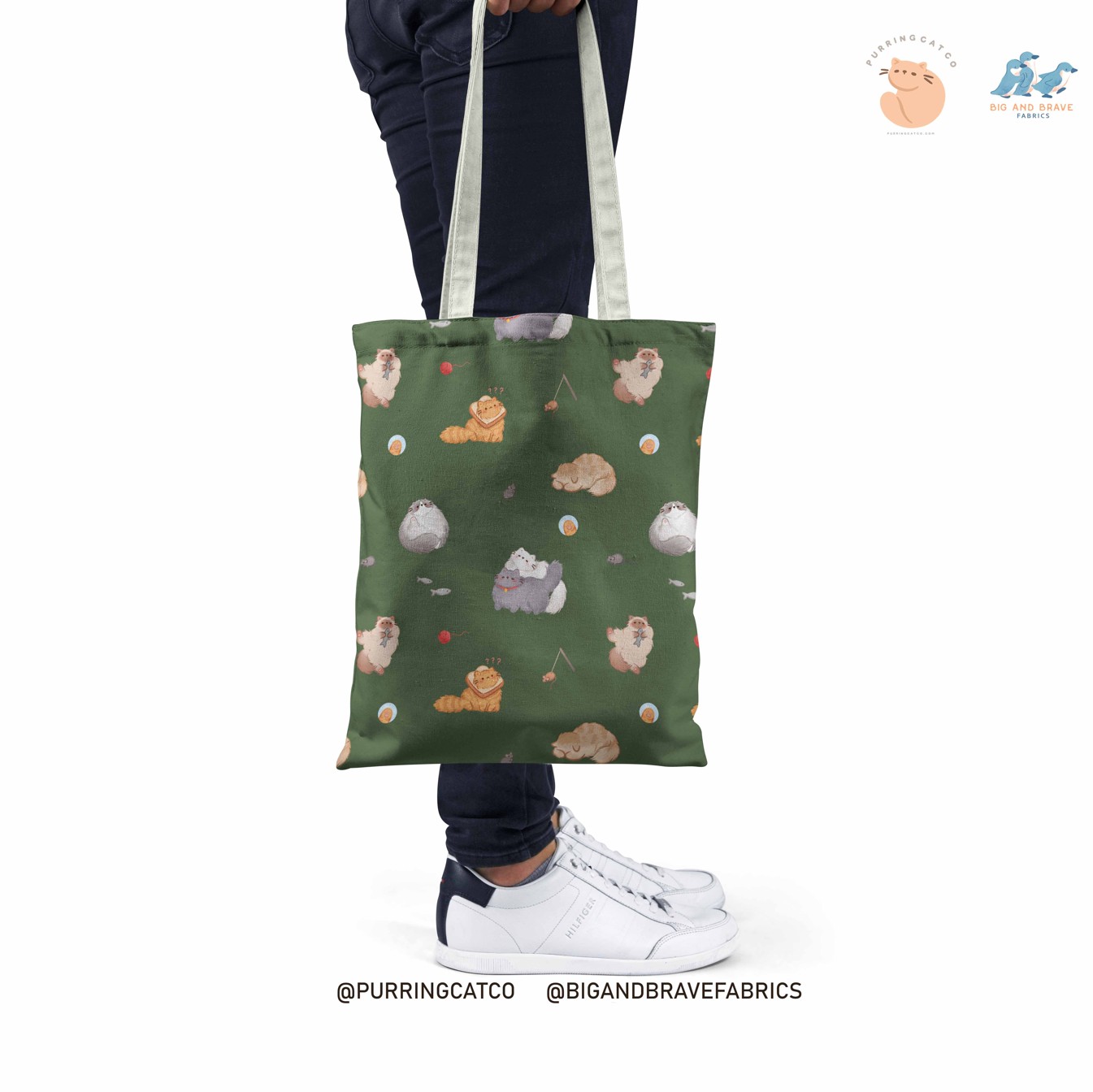 Playful Cats, Assorted Colours