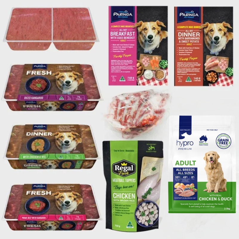 Big Dog Starter Pack