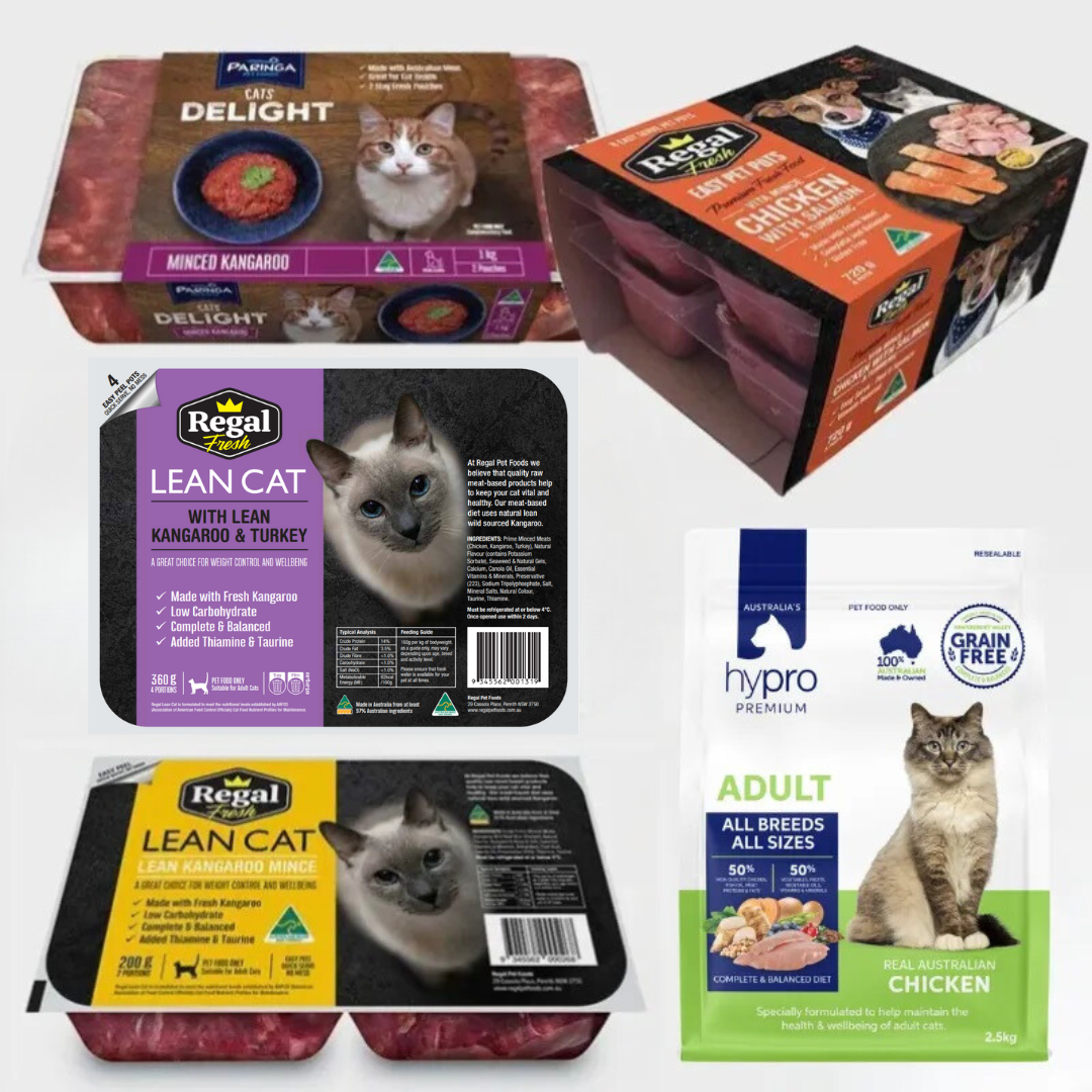 Cat Starter Pack