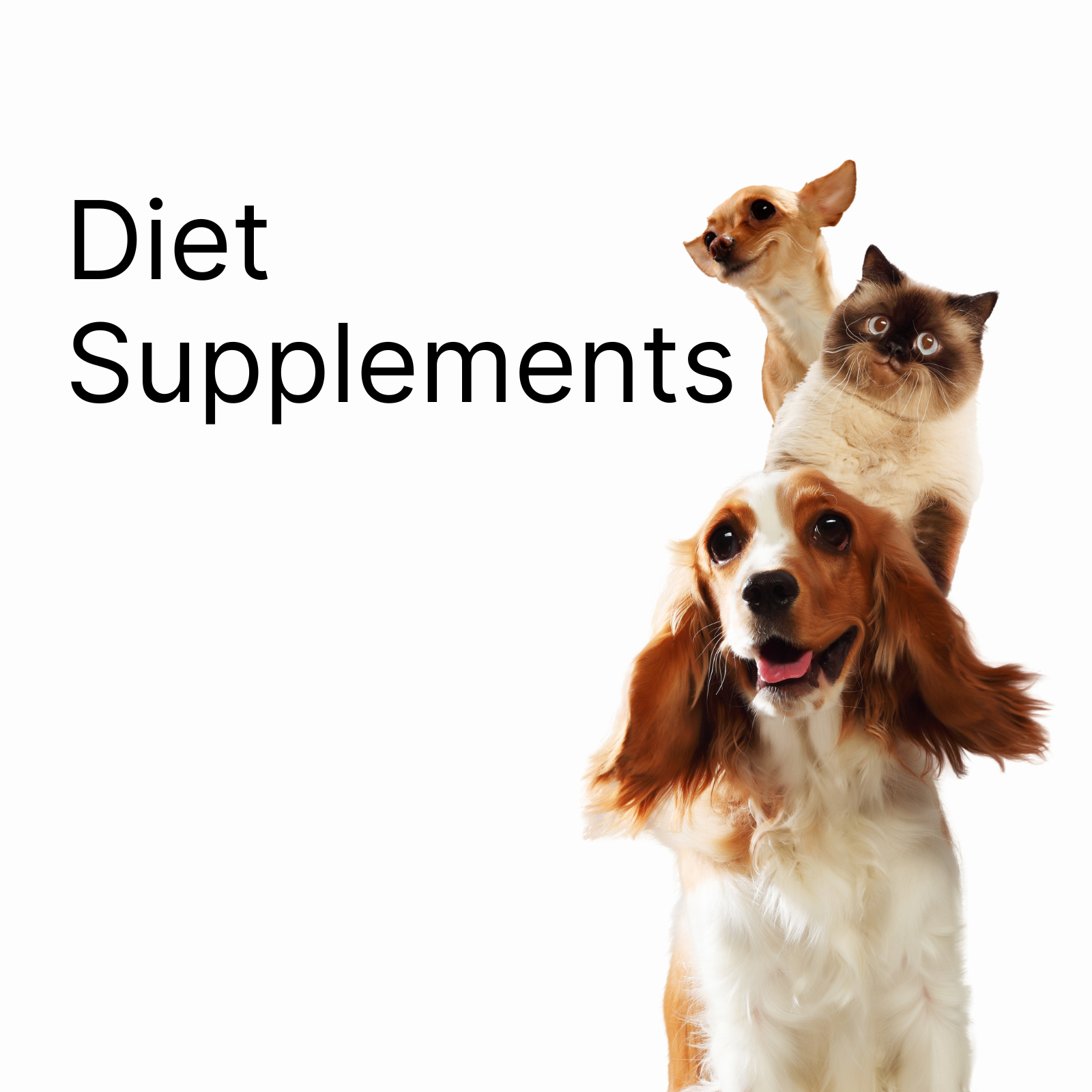 Diet Supplements