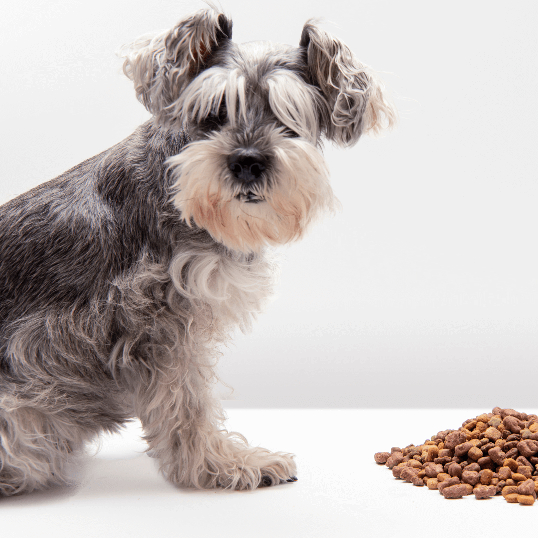 Dry Dog Food
