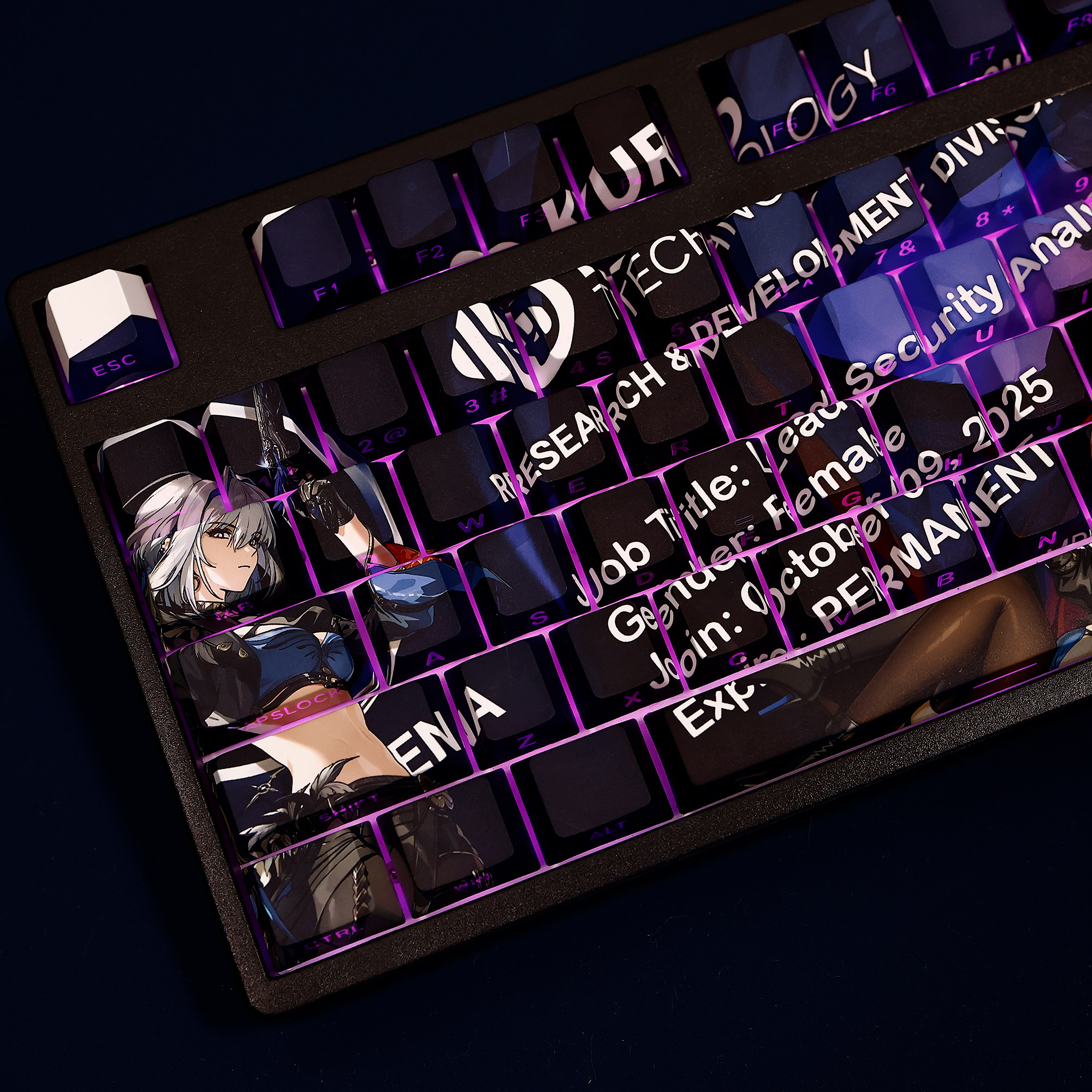 鳴潮共鳴者印象系列主題鍵帽套裝