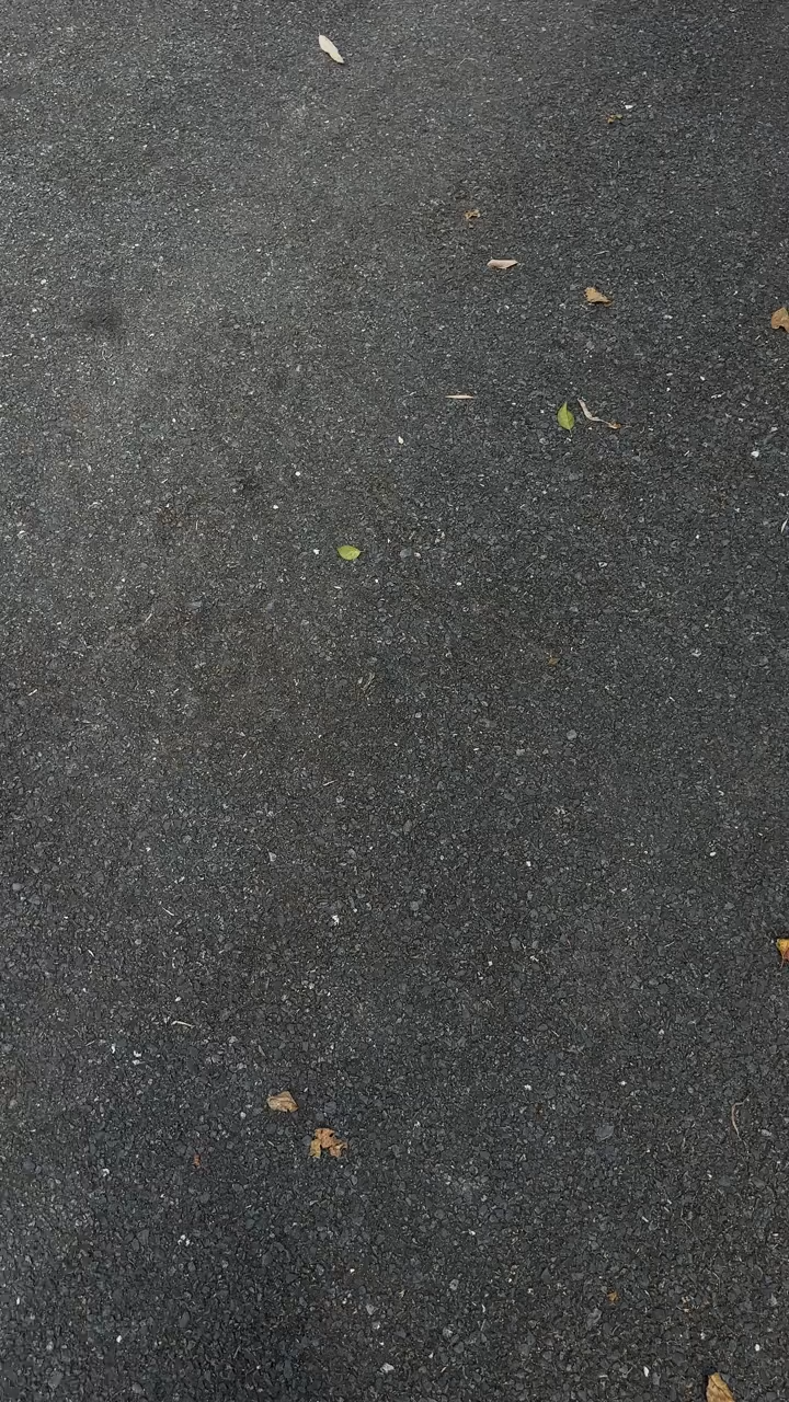 斯圖西鏡面磁吸手機殼