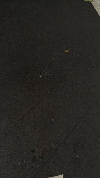 羽紗猿人猴IMD雙層磨砂手機殼