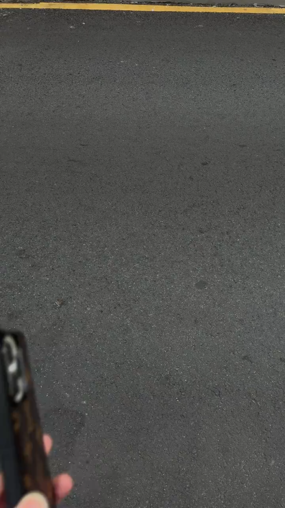 路易威登皮質磨砂手機殼