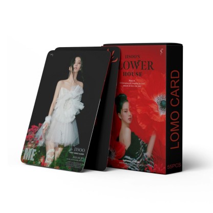 K-pop 官方週邊商品 (韓國進口版)