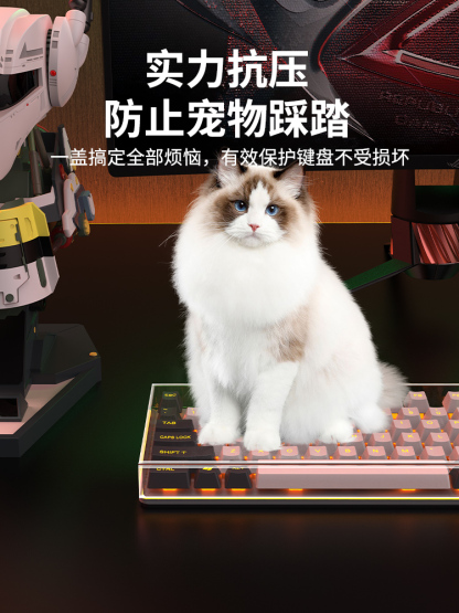 鍵盤防塵水晶罩-ZUIHANG SHOP