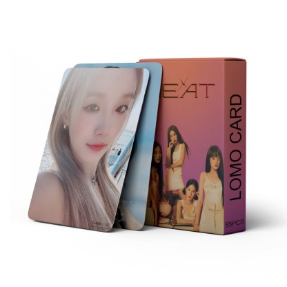 K-pop 官方週邊商品 (韓國進口版)