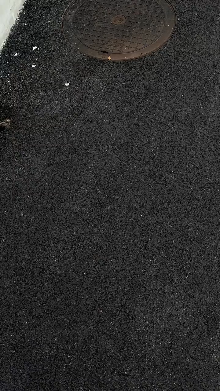 賽琳皮質立標磨砂手機殼