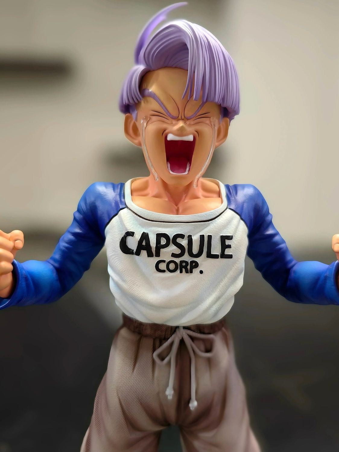 Buu Studio 七龍珠 少年-特蘭克斯 未來對戰篇