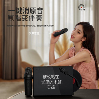 覆古唱片無線藍牙喇叭 互動大屏K歌帶話筒-ZUIHANG SHOP