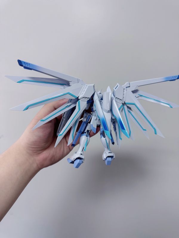 【預購】繁星×NoTop模型工作室 HG飛昇自由高達-ZUIHANG SHOP