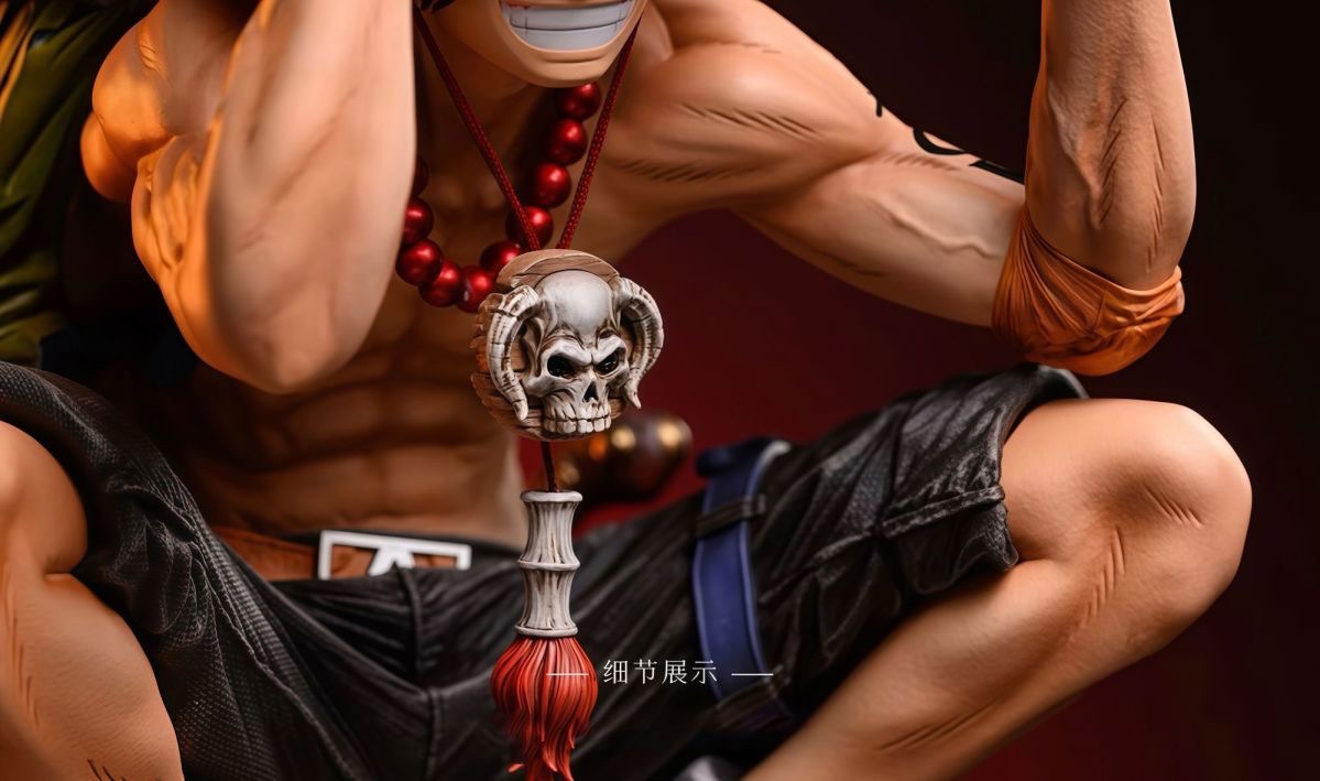 AO艾斯 海賊王-ZUIHANG SHOP