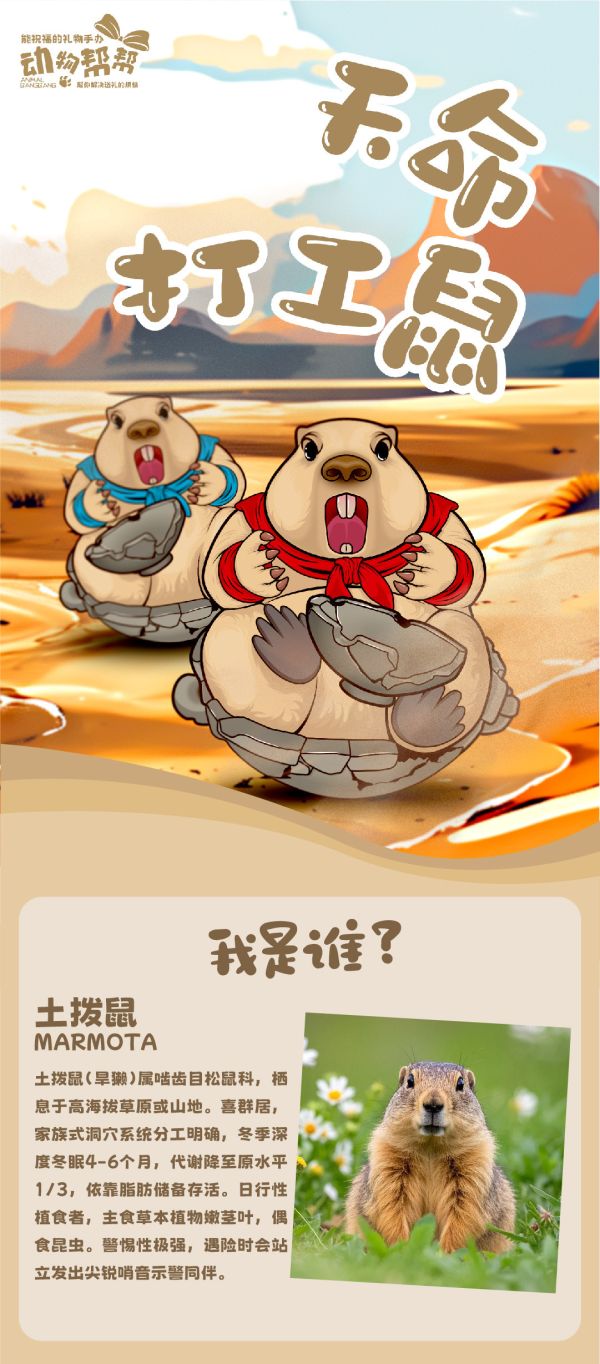 【預購】傑刻動漫×動物幫幫 土撥鼠潮玩桌面擺件