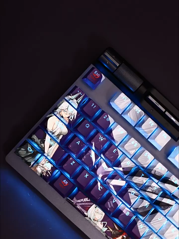 RO姬雪舞禮服版透光RGB108鍵標準配列衛星軸鍵帽