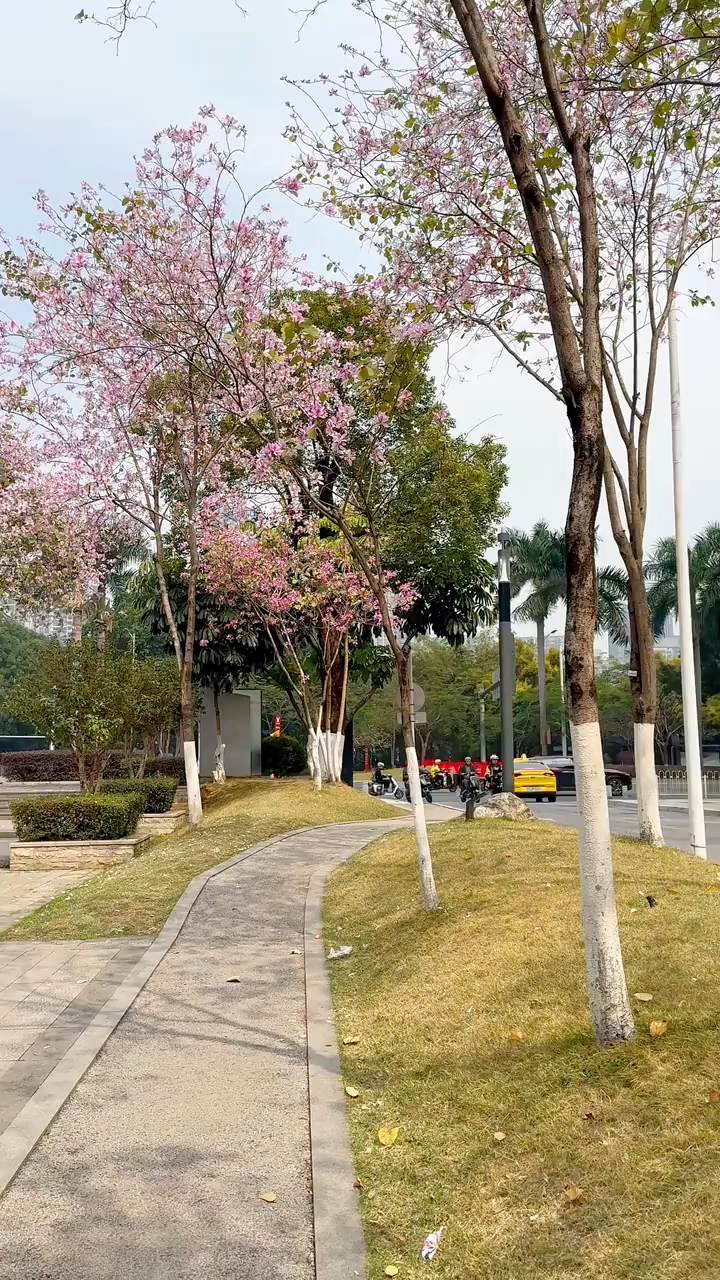 蠟筆小新車載擺件｜Q萌搖搖樂｜創意公仔裝飾