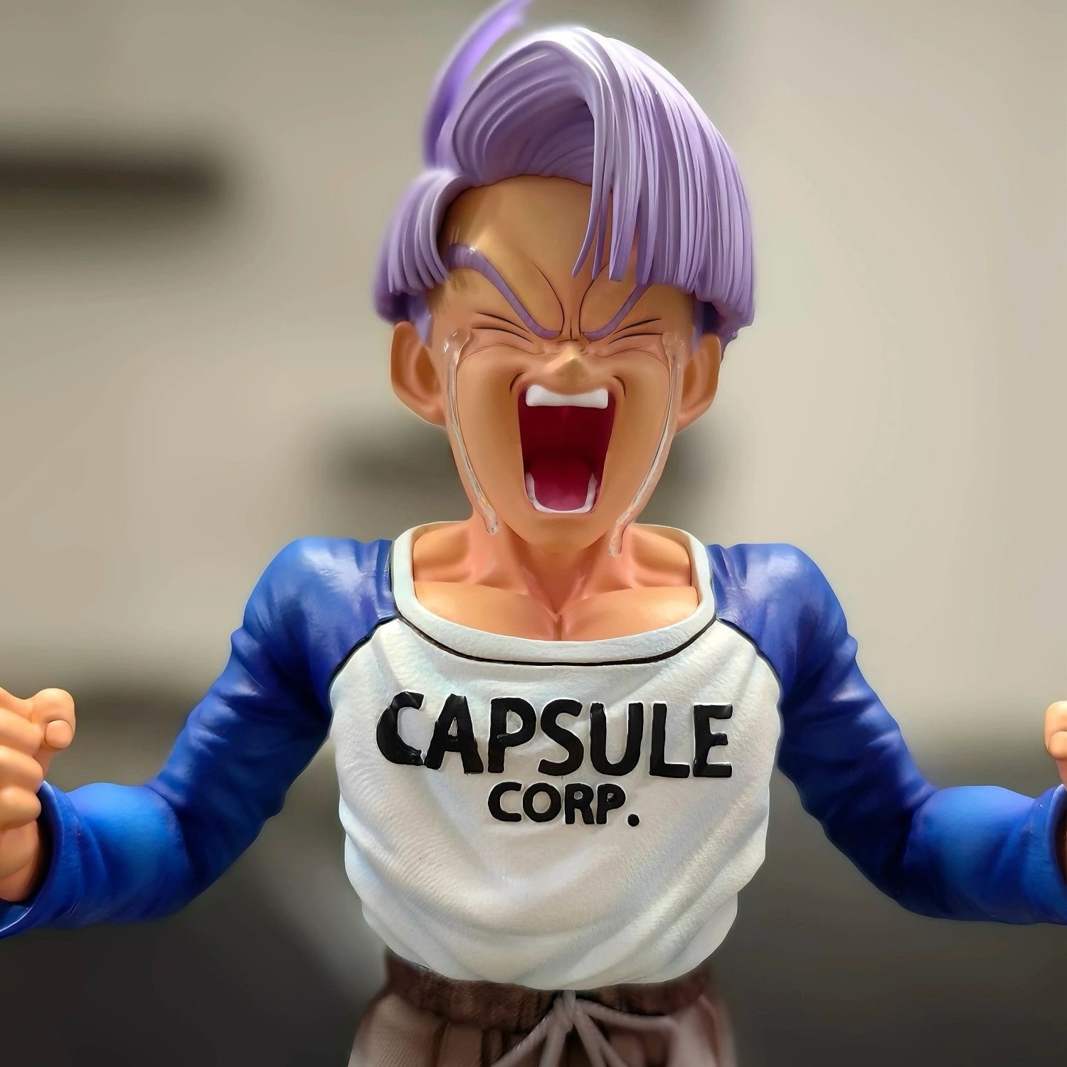 Buu Studio 七龍珠 少年-特蘭克斯 未來對戰篇