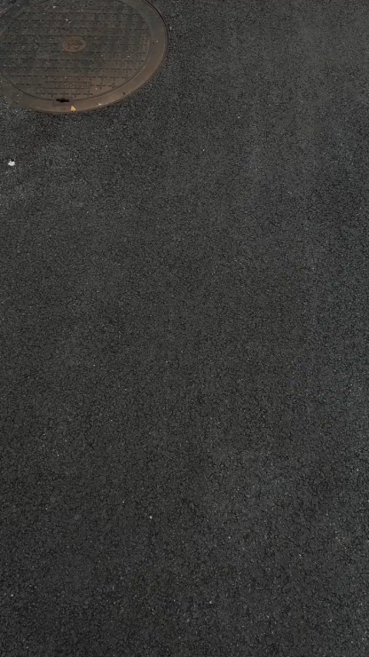 羅意威立標皮質撞色手機殼