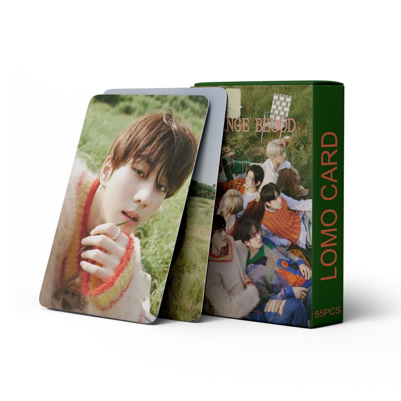 K-pop 官方週邊商品 (韓國進口版)