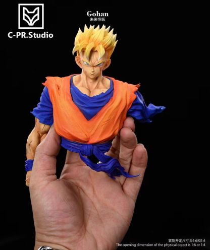 CPR 龍珠 未來悟飯-ZUIHANG SHOP