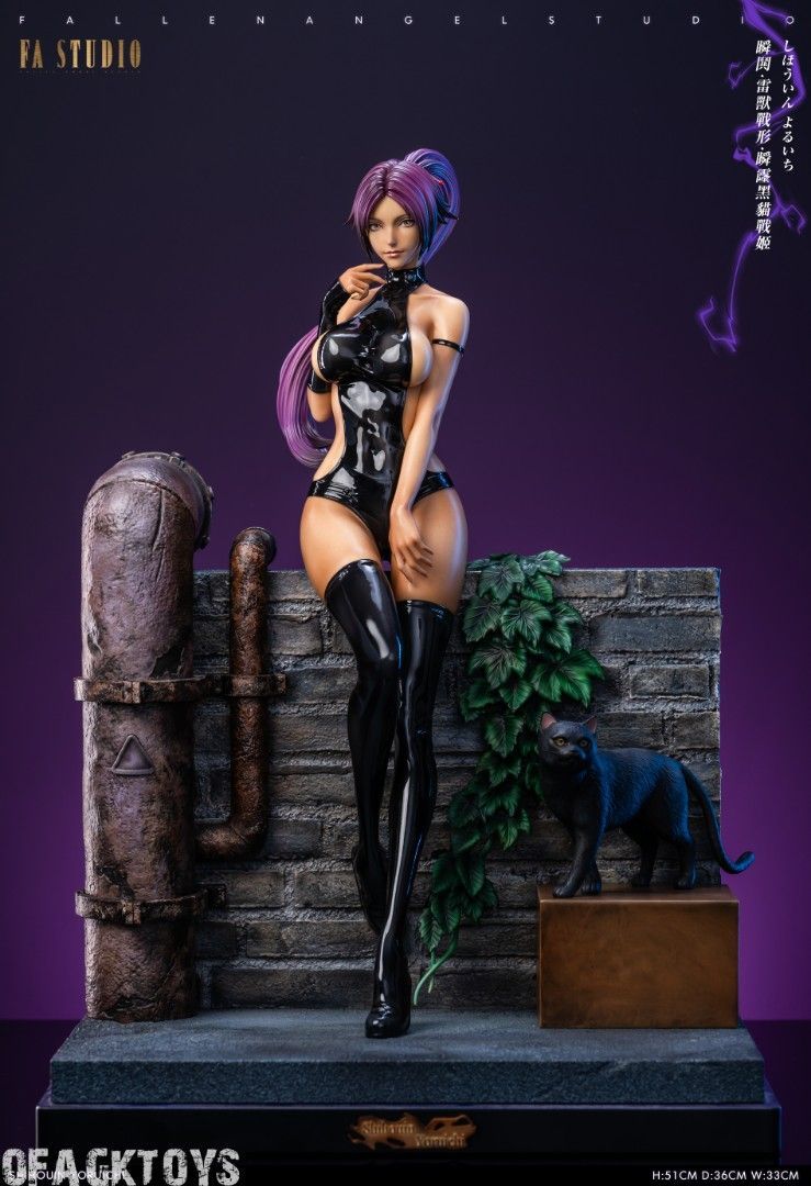 FA 死神bleach 瞬閧 雷獸戰形 瞬霳黑貓戰姬 夜一-ZUIHANG SHOP