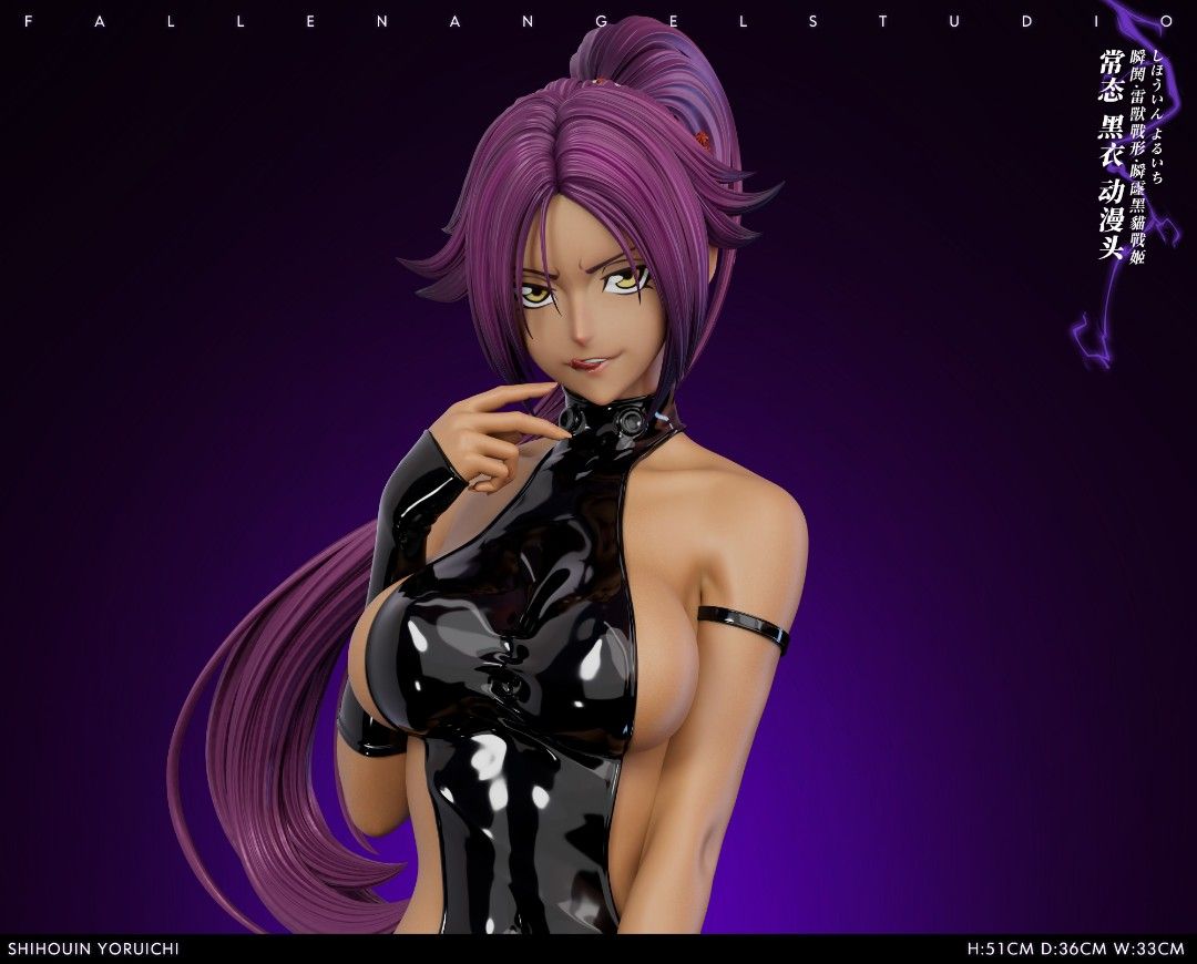 FA 死神bleach 瞬閧 雷獸戰形 瞬霳黑貓戰姬 夜一-ZUIHANG SHOP