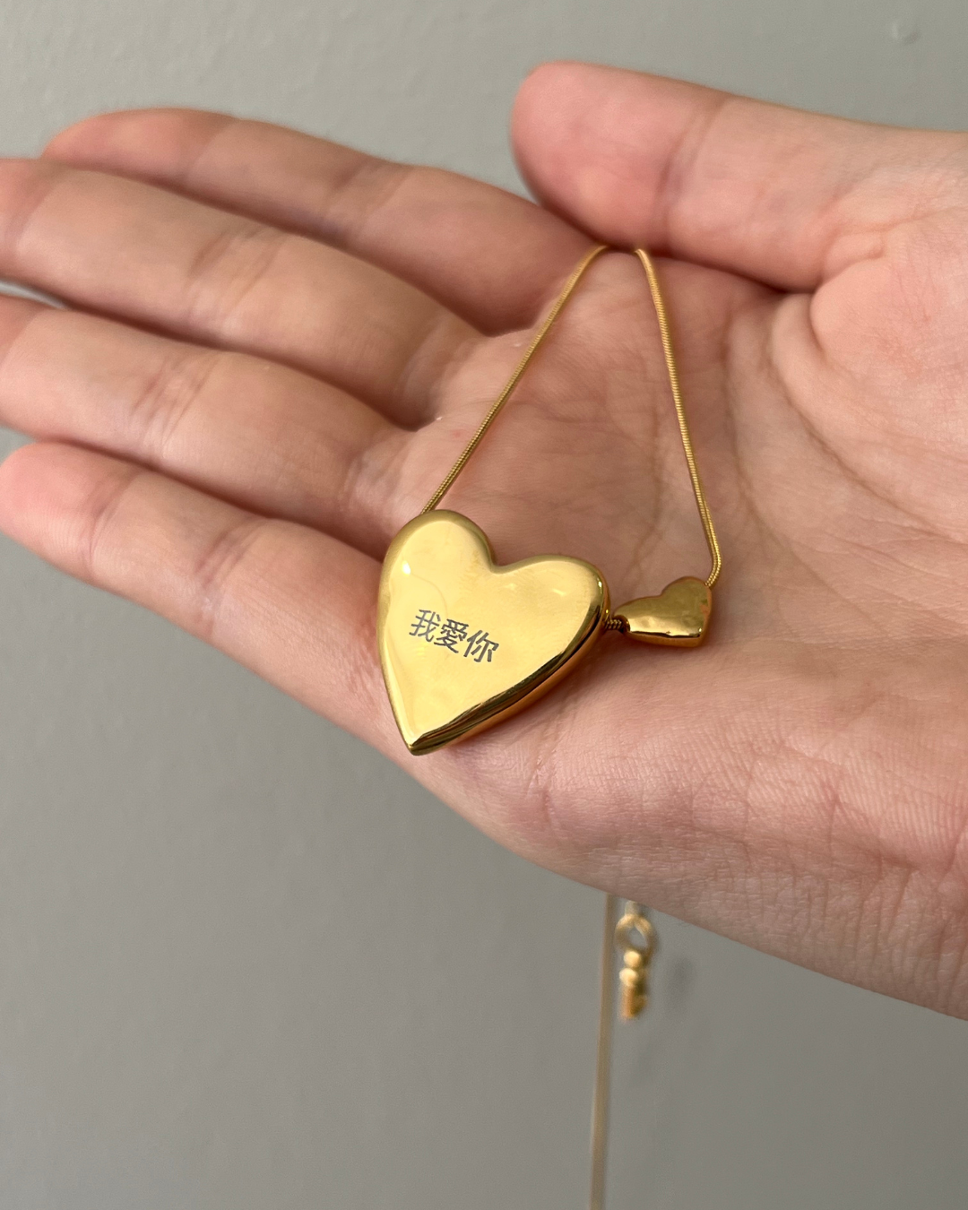 Two of a Kind Heart Silver Necklace