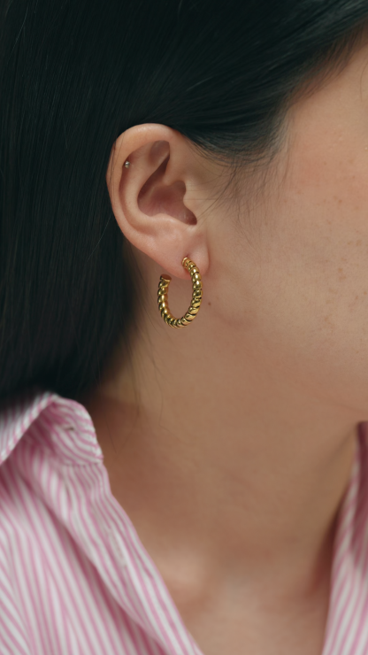 Ray Gold Twist Earrings