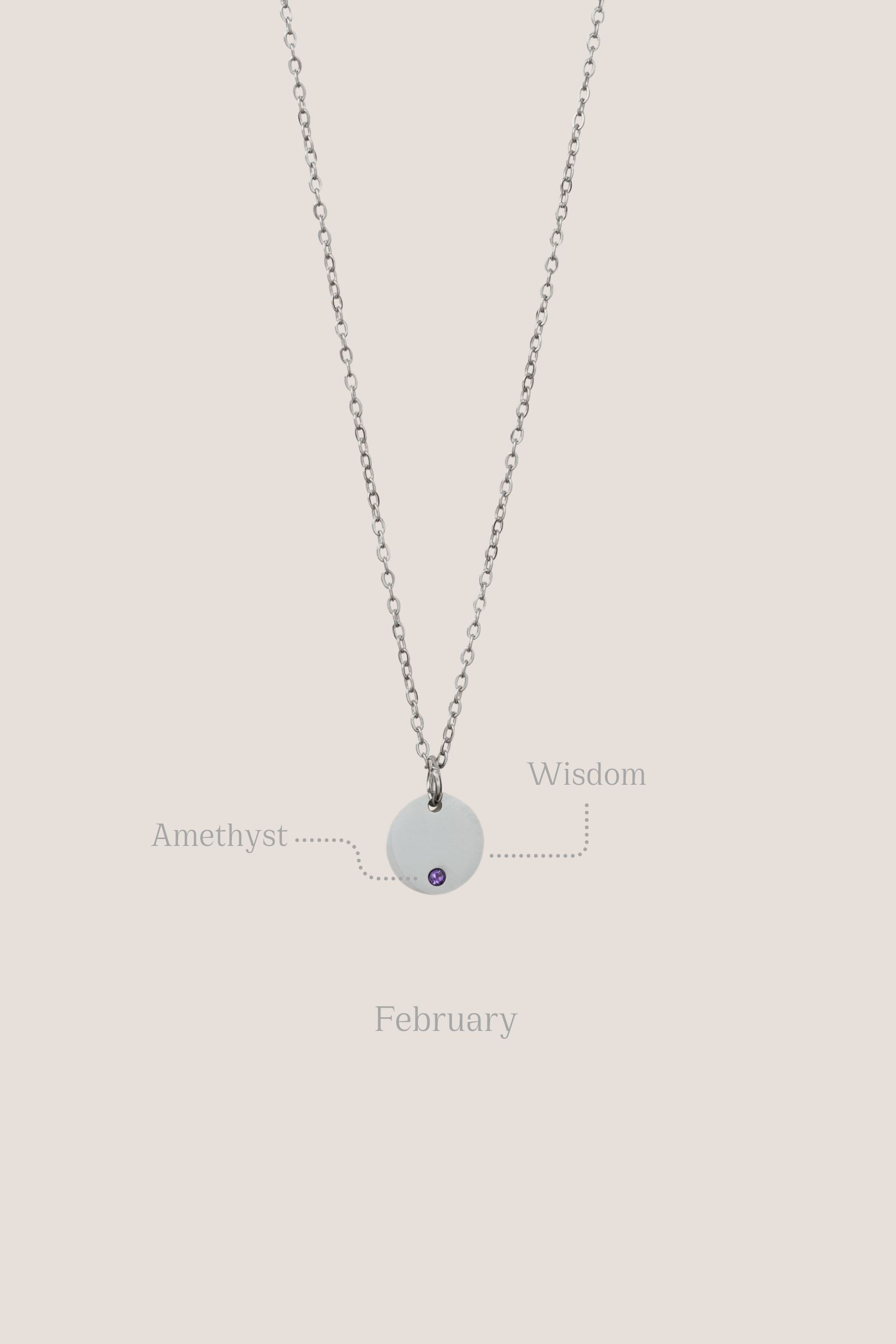 Birthstone Round Pendant Silver Chain Necklace