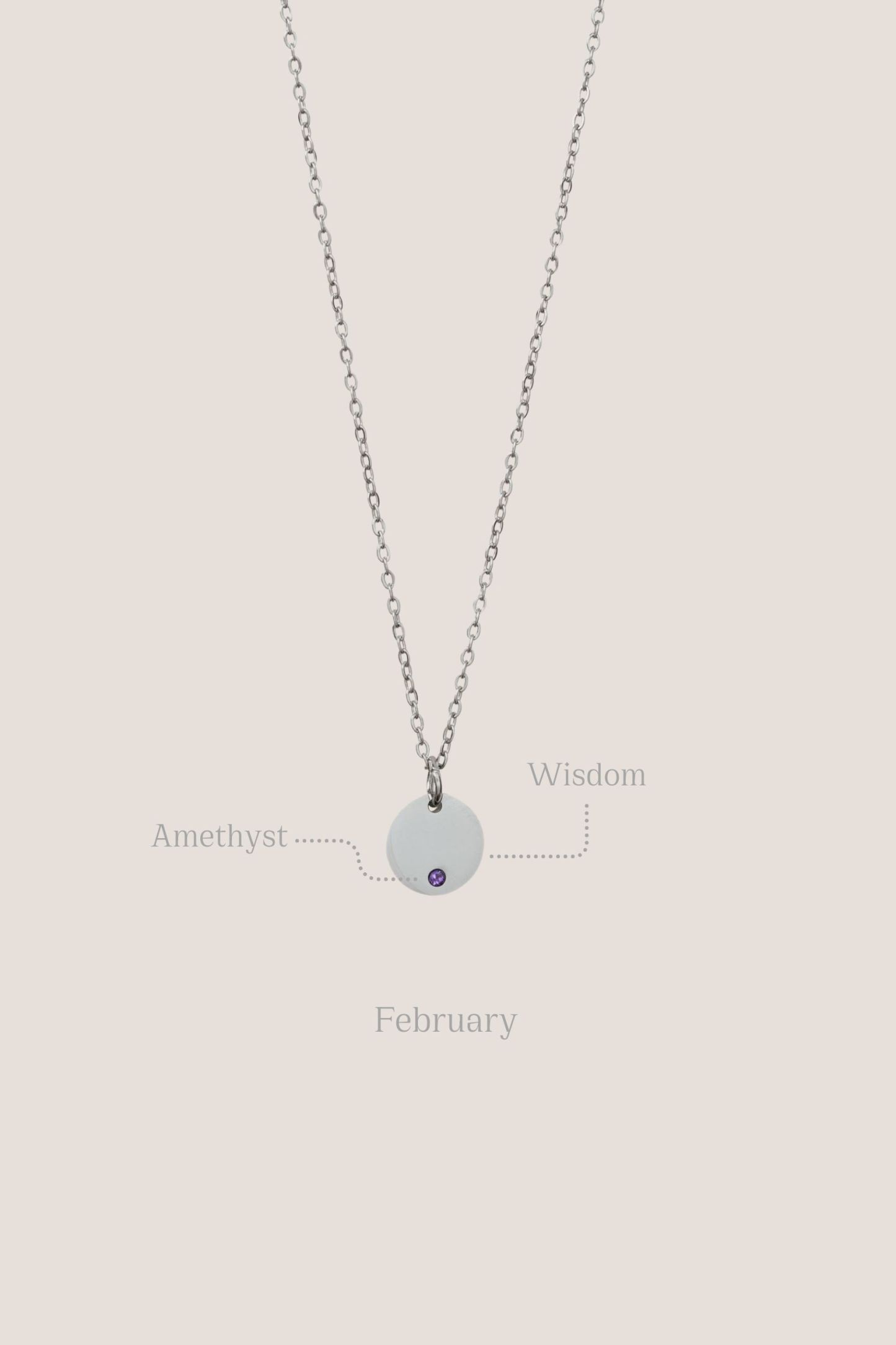 Birthstone Round Pendant Silver Chain Necklace