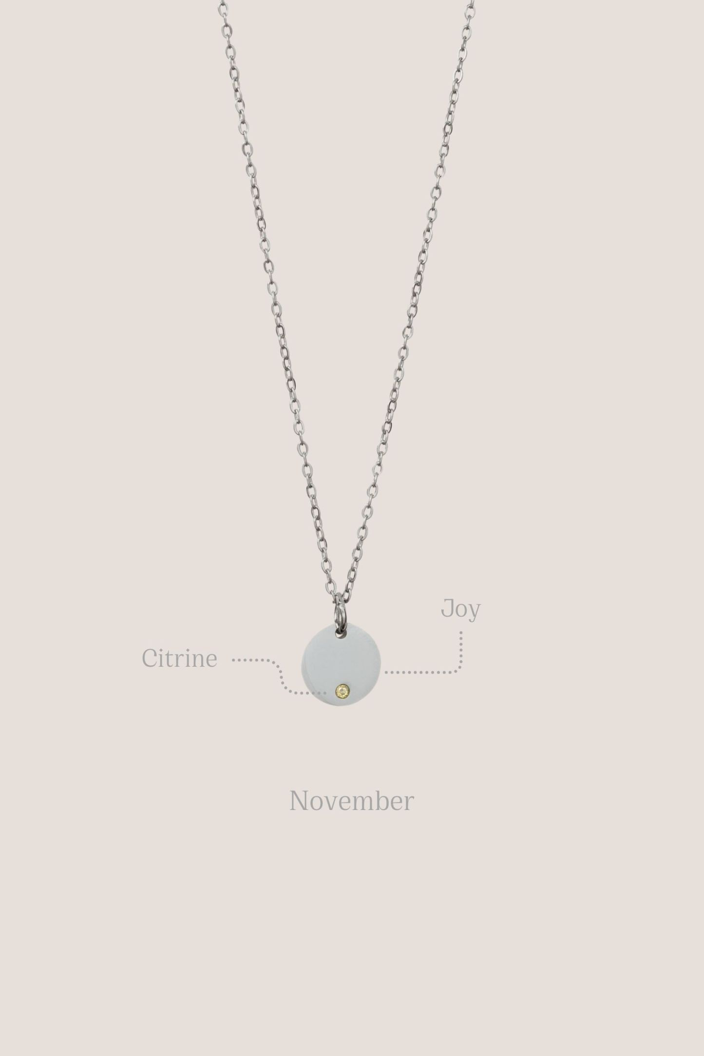 Birthstone Round Pendant Silver Chain Necklace
