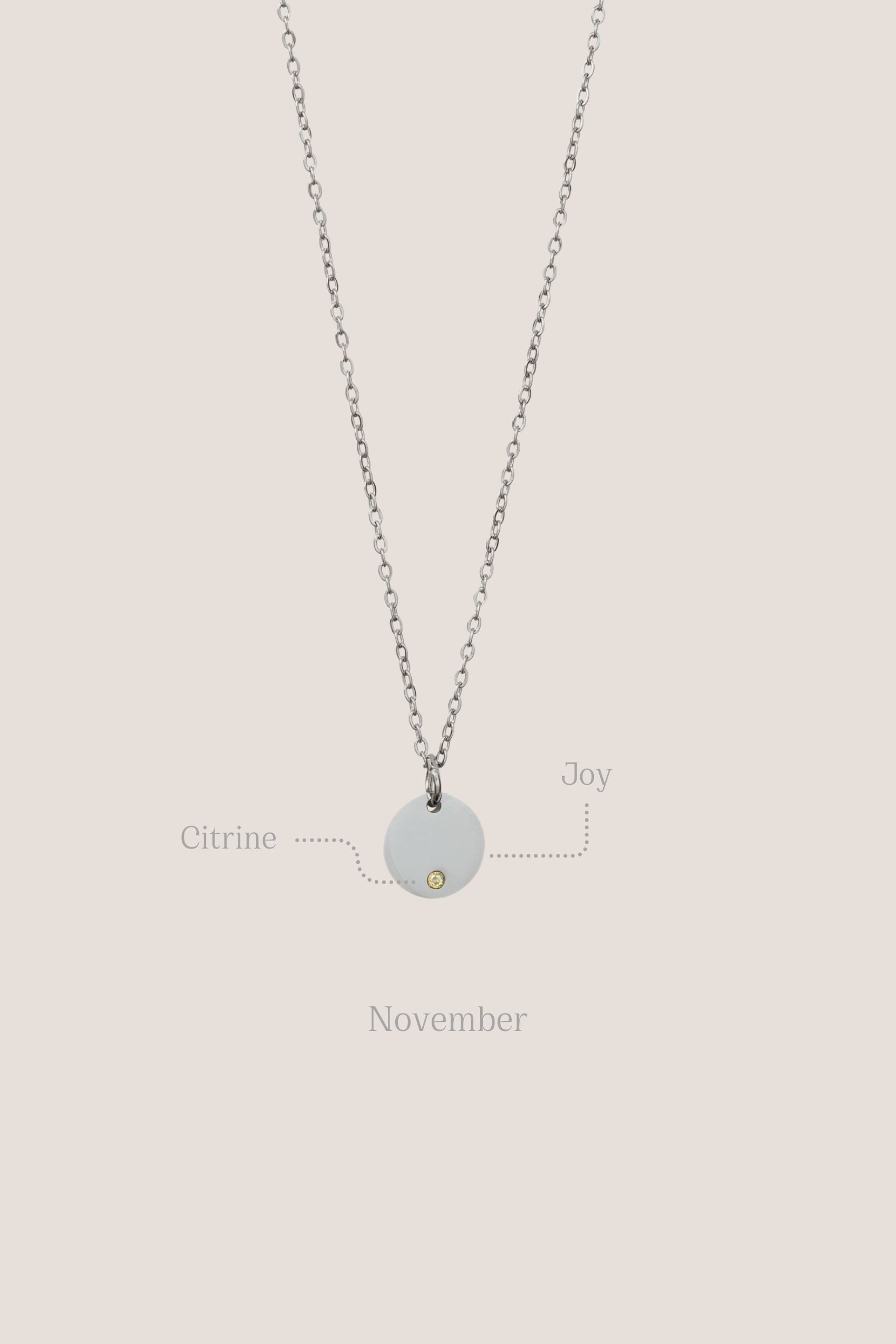 Birthstone Round Pendant Silver Chain Necklace