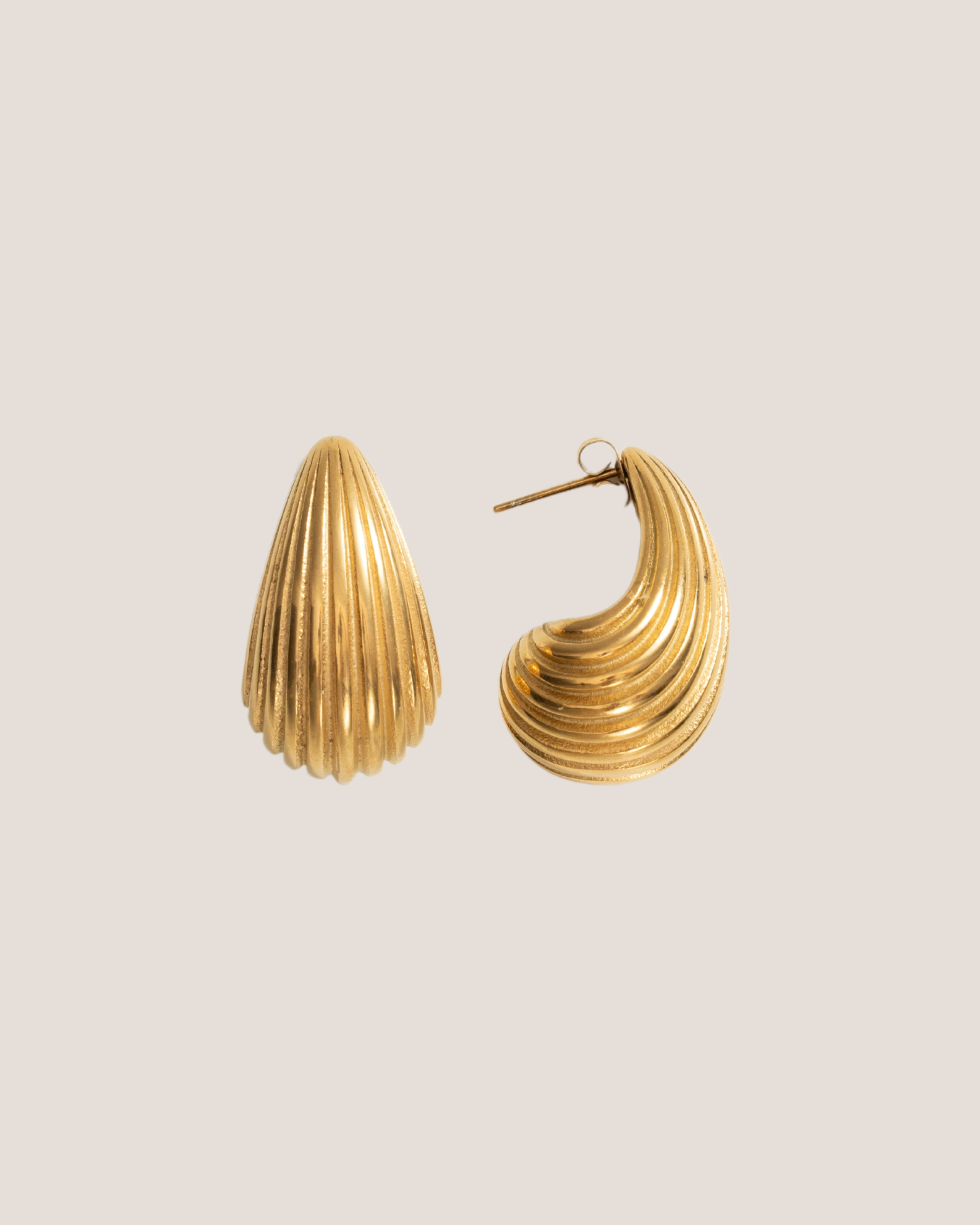 Coaster Gold Earrings