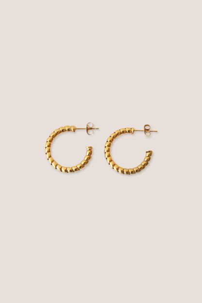 Ray Gold Twist Earrings
