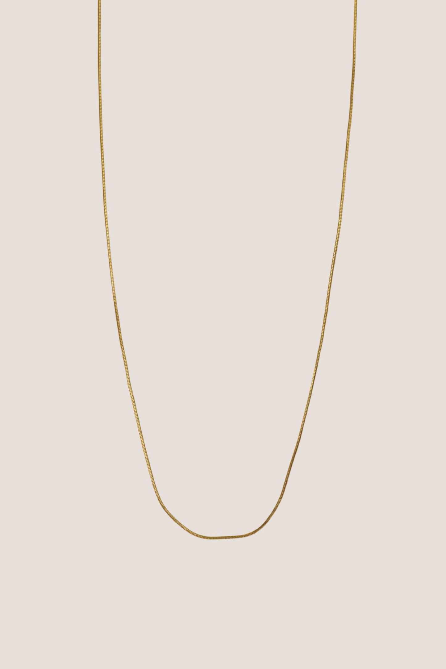 Thin Snake Chain Gold Necklace