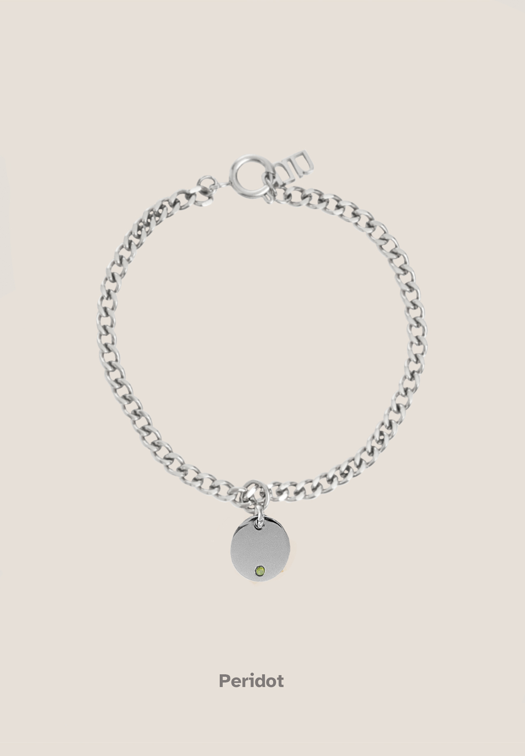 Birthstone Round Pendant Silver with Curb Chain Bracelet