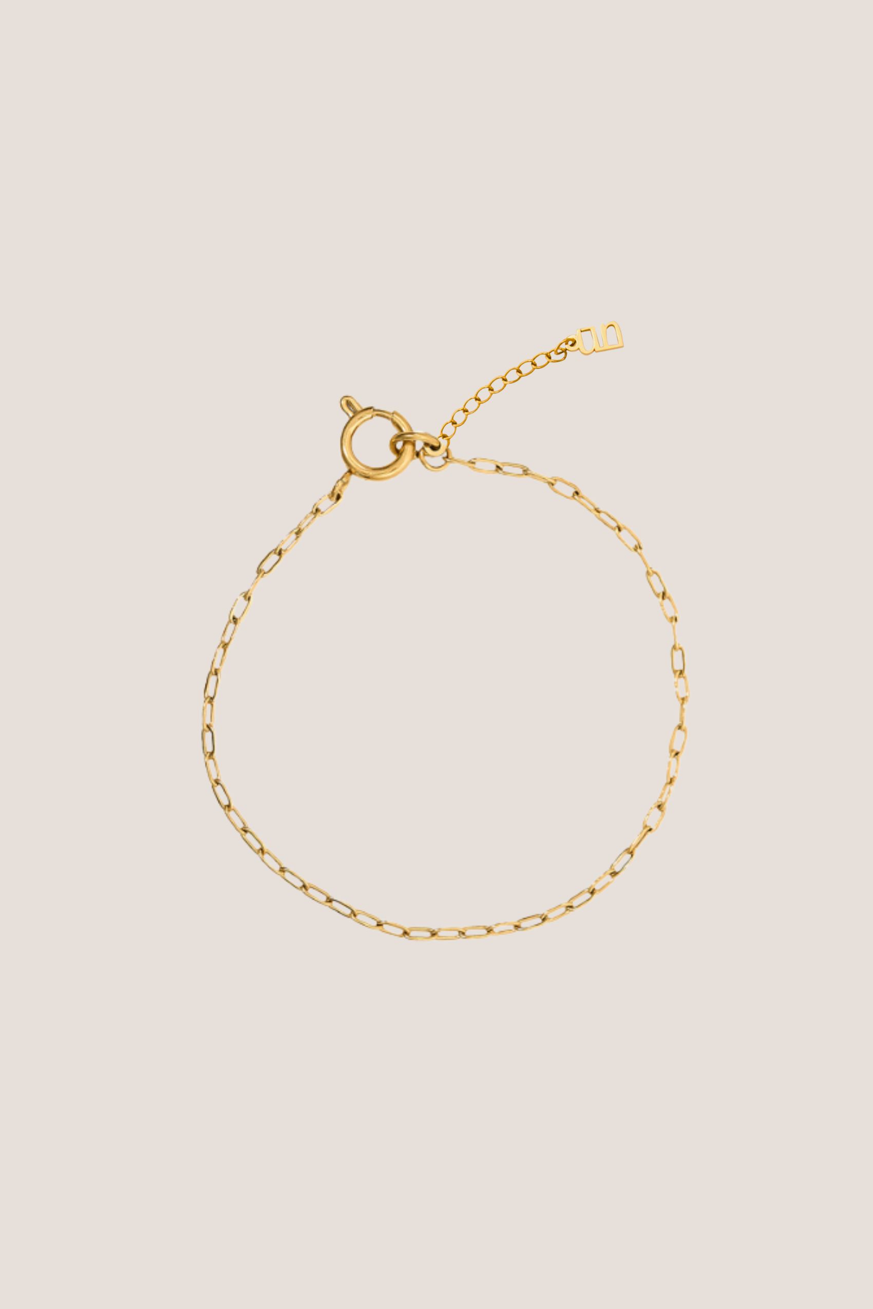 Isla Thin Gold Chain Anklet