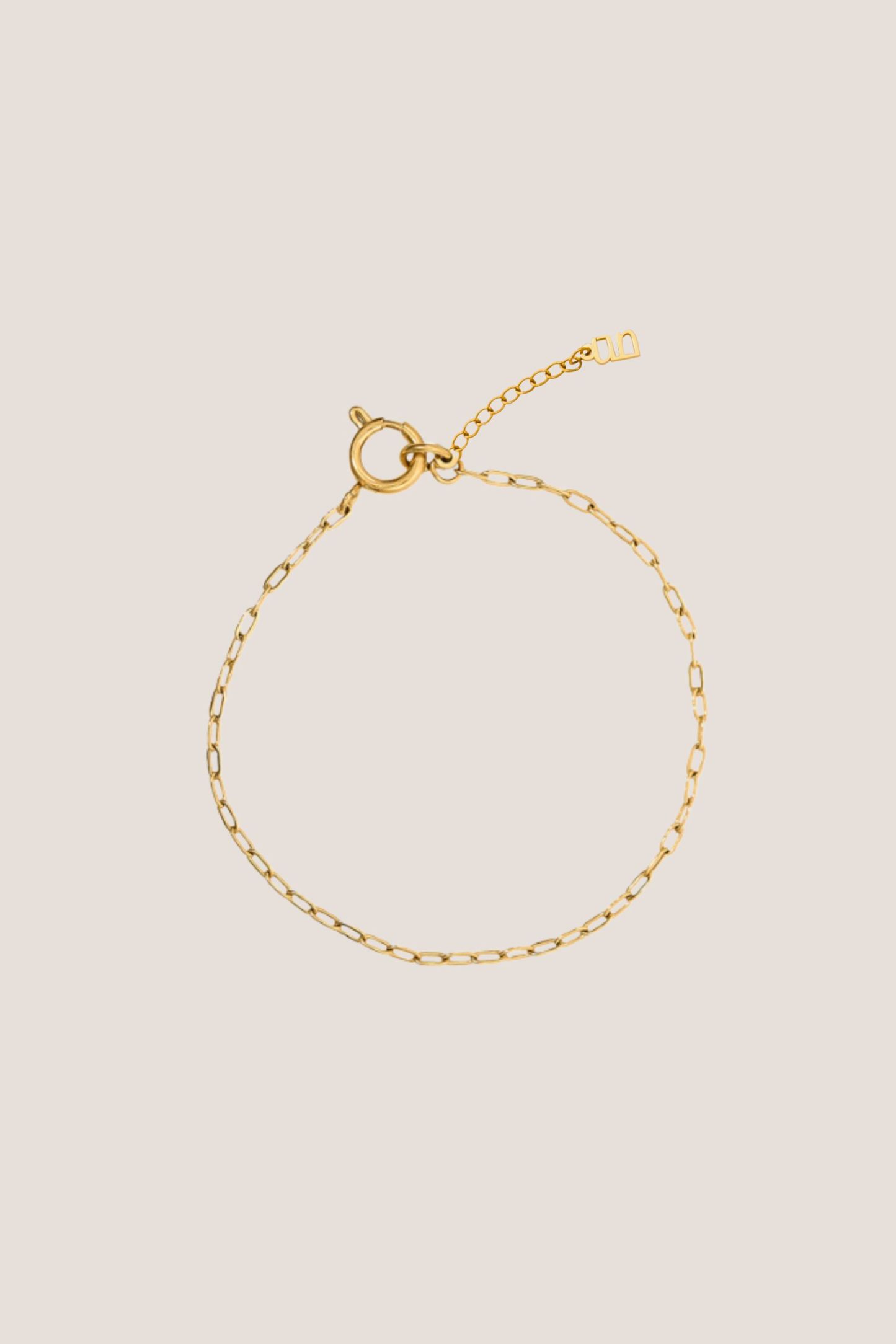 Isla Thin Gold Chain Anklet