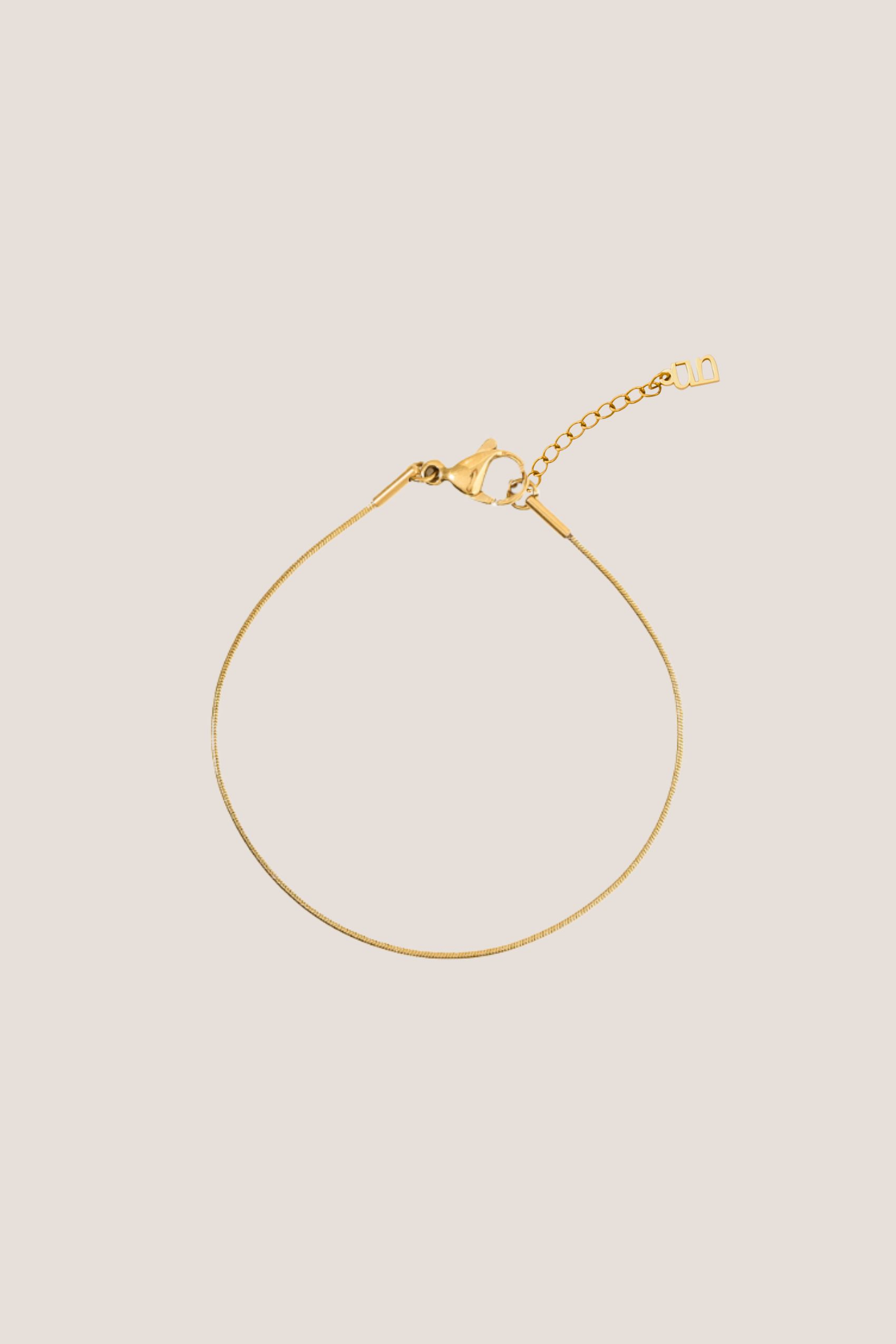 Thin Snake Gold Chain Anklet