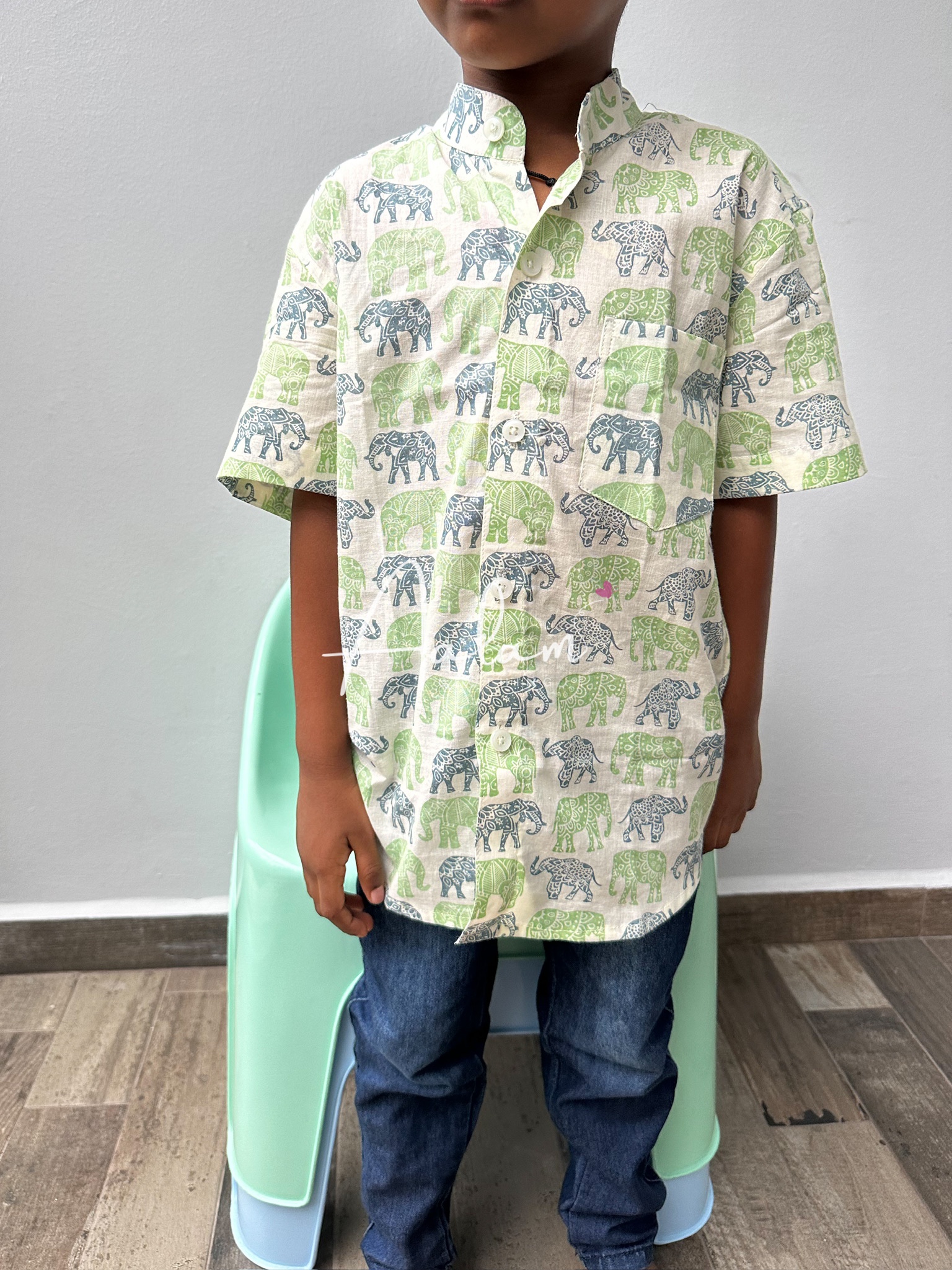 Boy Short Sleeve Shirt - GreenxBlue Elephant Prints