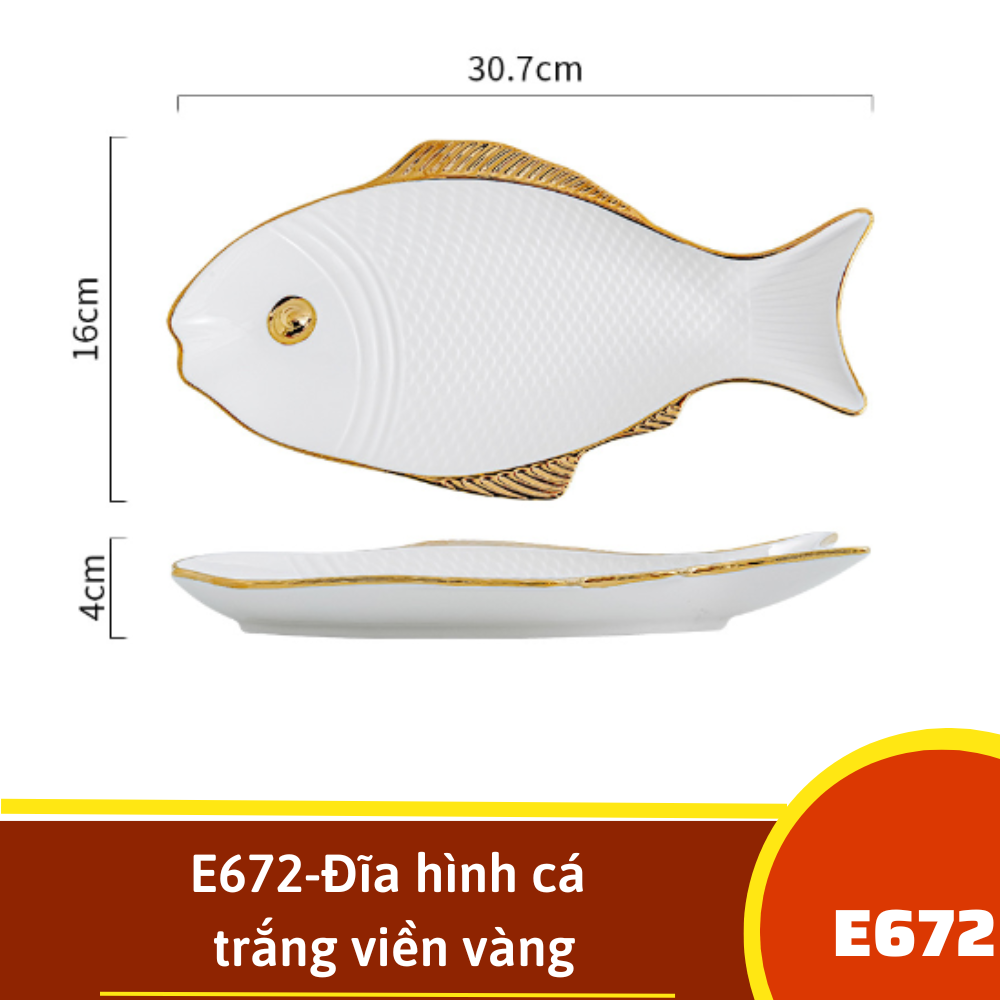 E672-Đĩa hình cá trắng viền vàng