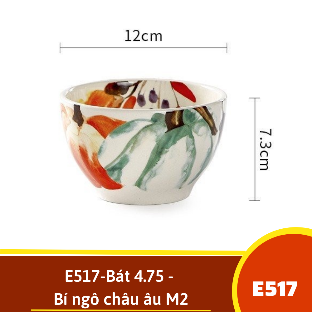 E517-Bát 4.75 - Bí ngô châu âu M2