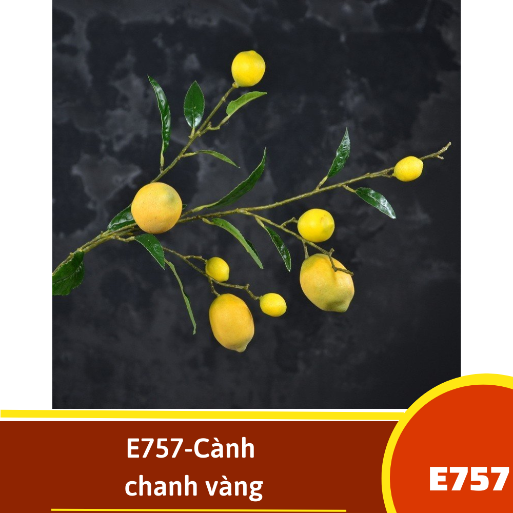 E757-Cành chanh vàng