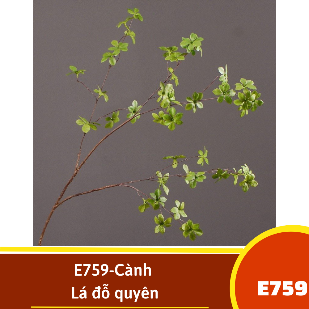 E759-Cành Lá đỗ quyên
