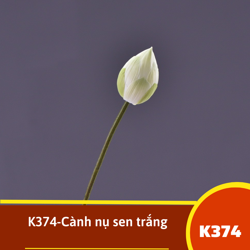 K374-Cành nụ sen trắng