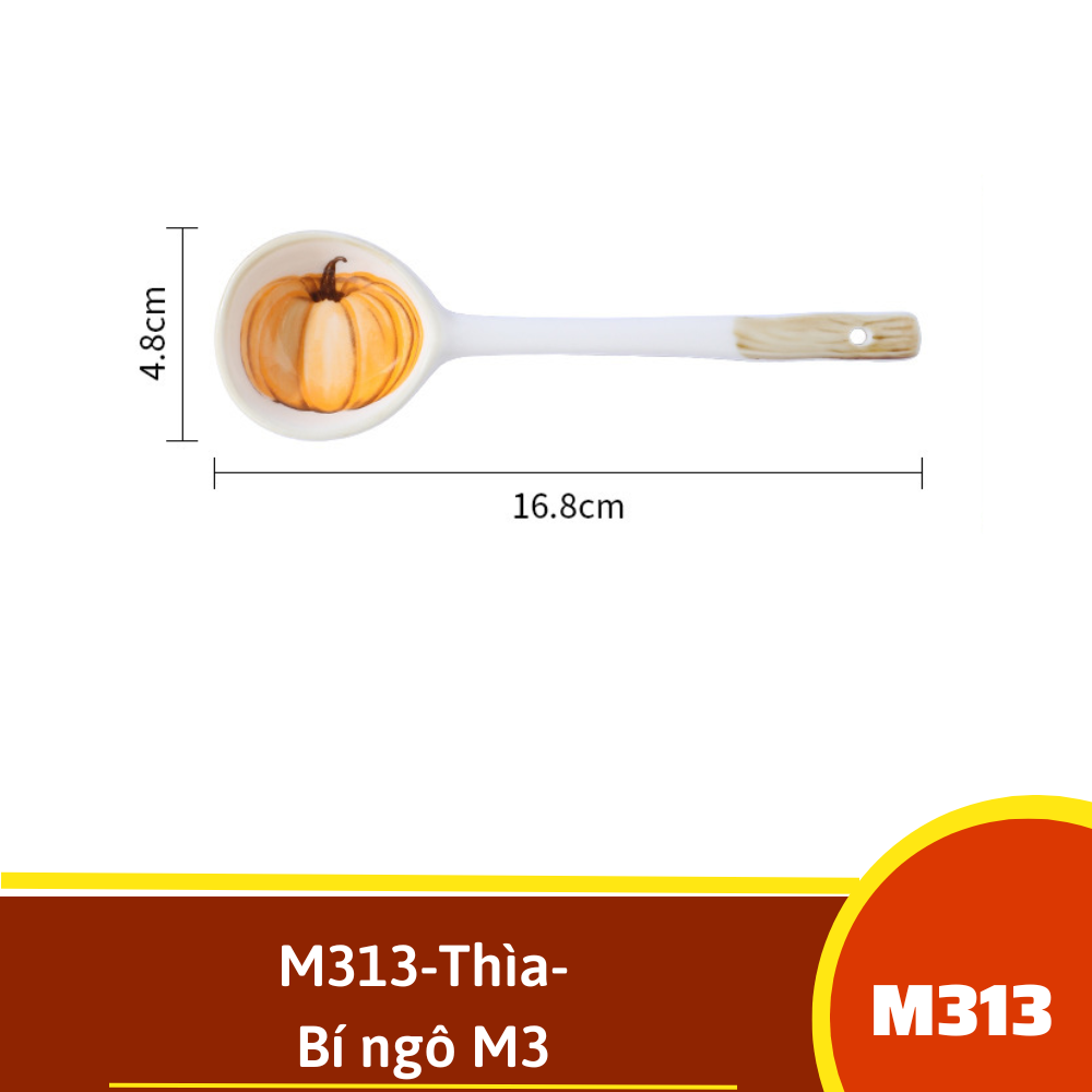 M313-Thìa- Bí ngô M3