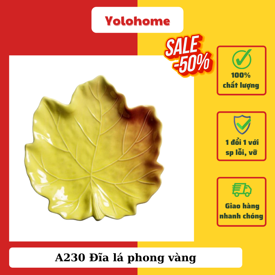 A230 Đĩa lá phong vàng xuất Âu omk